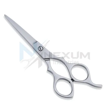 Economy hair scissors nexum industries 12