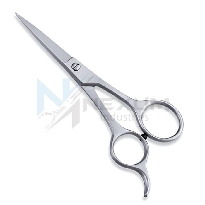 Economy hair scissors nexum industries 4