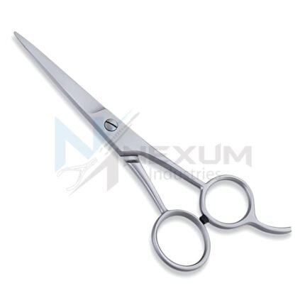 Pro Economy Hair Cutting Scissors